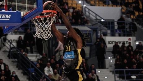 aris basket.jpg