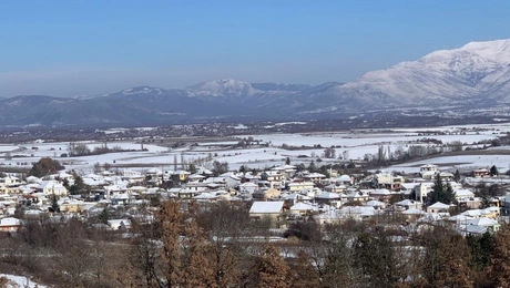 Κιβωτός Γρεβενών