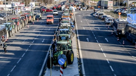 mploko agrotes