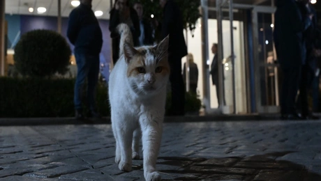 Συνεδρίαση βουλευτών της ΝΔ για τον γάμο των ομόφυλων ζευγαριών