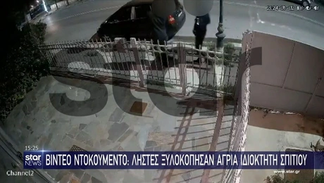 Ληστεία στην Παλλήνη