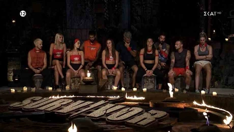 survivor