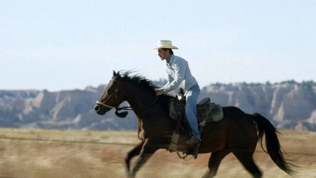 tainies