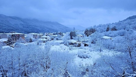 xioni-florina