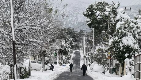 xioni