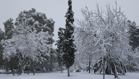 Χιόνι σε πάρκο