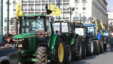 agrotes athina