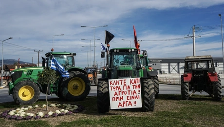 agrotes mploka