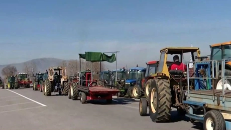 agrotes-mploka