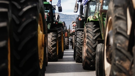 agrotes-mploko