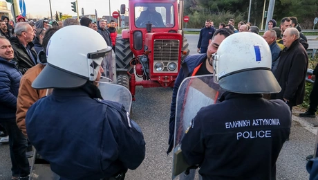 agrotes.jpg