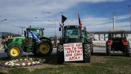agrotes.jpg