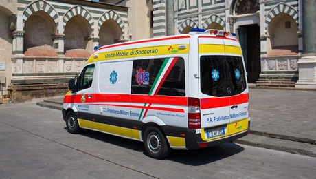 asthenoforo italia.jpg