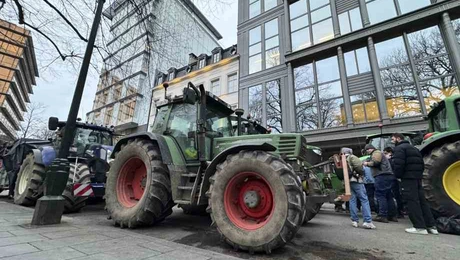 brussels_agrotes