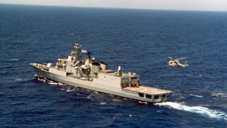 fregata ydra.jpg
