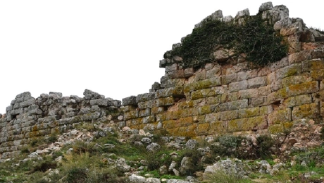 frourio fylis.jpg
