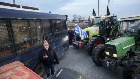 mploka agrotes