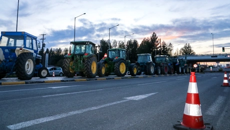 mploko agrotes