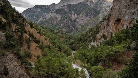 samaria.jpg