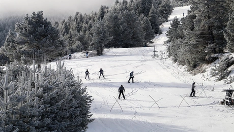 ski.jpg