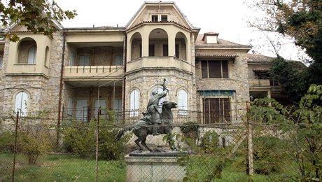 tatoi