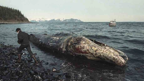 Exxon_Valdez