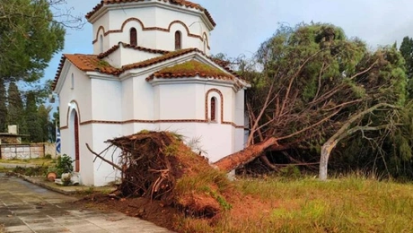 anemostrovilos