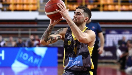 aris basket