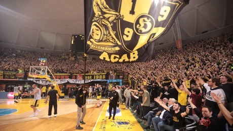 aris basket