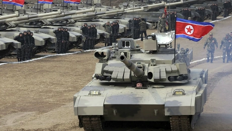 kim tank