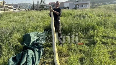pythonas 