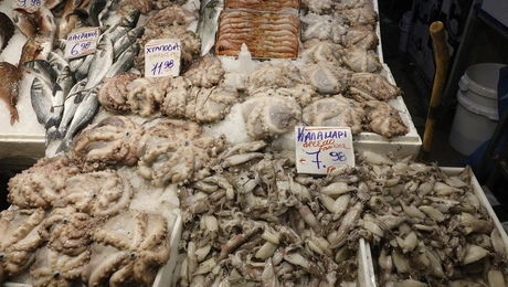 sarakostiana