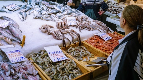 sarakostiana