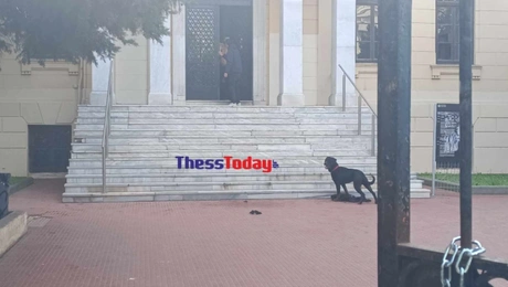 skilos thessaloniki