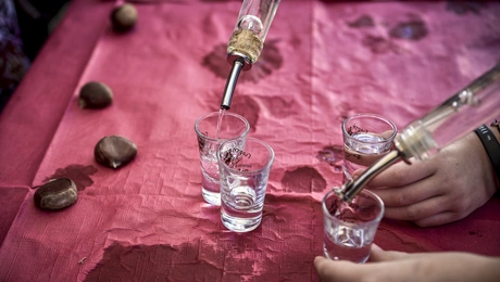 tsipouro