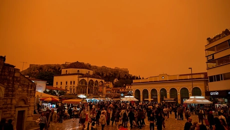 afrikaniki-skoni-athina