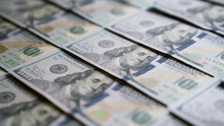 dollaria
