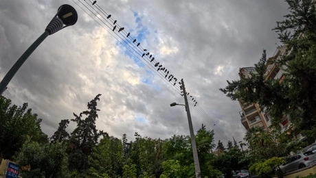 Καιρός