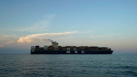 MSC