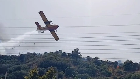 Canadair βρίσκει σε δέντρο