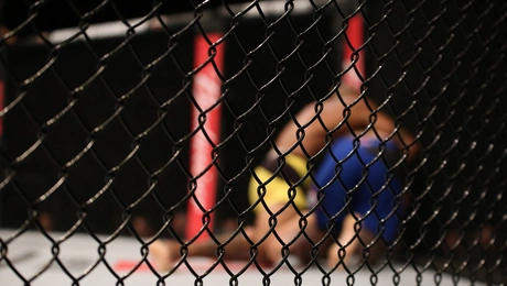 Αγώνας MMA