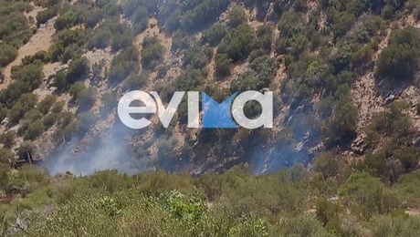 Φωτιά στην Εύβοια