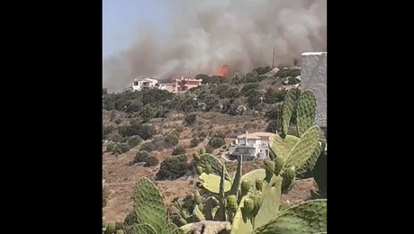 Φωτιά στο Κρανίδι