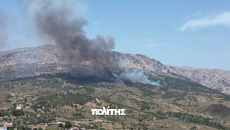 fotia-xios