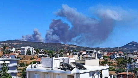 Εύβοια φωτιά