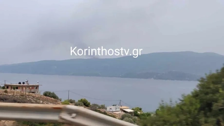 amoni korinthias