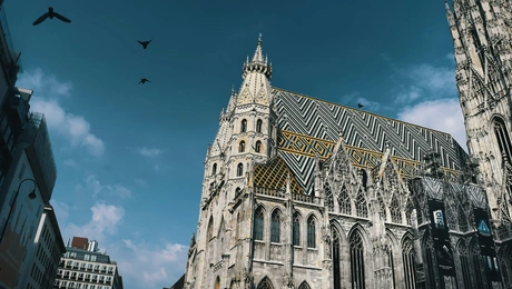 vienna
