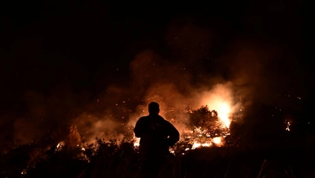 fotia
