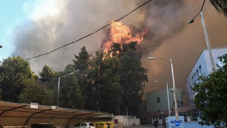 φωτια καραμανδανειο