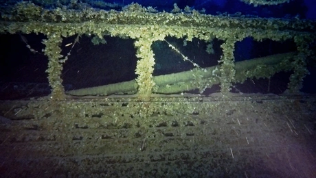 nauagio